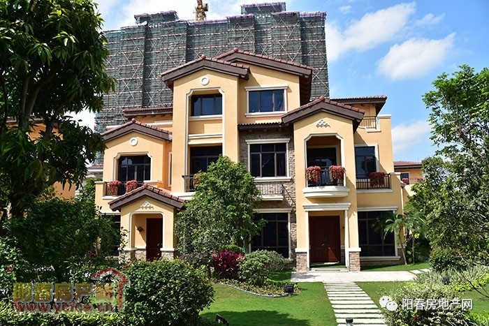 2024年11月26日 第5页