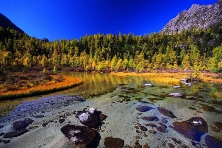 韩国秋日私语，自然秘境之旅，探寻内心的宁静与激情