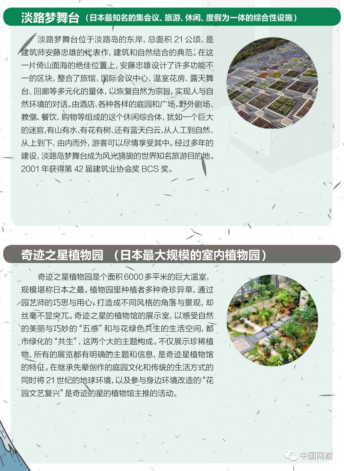 研习社最新动向观点探析，2024年11月17日的深度思考