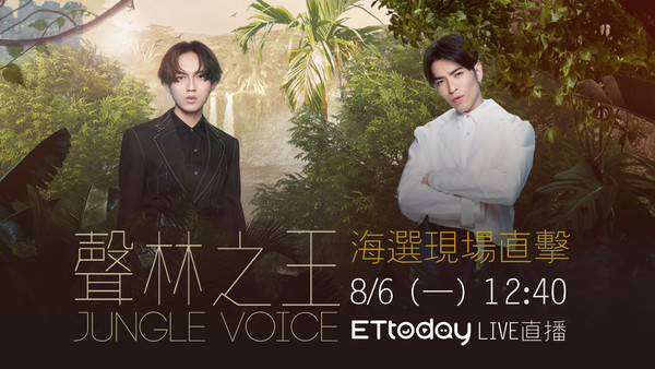 声林之王最新动态揭秘，11月音乐盛典探秘与小红书的惊喜连连