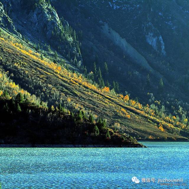 AngularJS最新版本的启程,拥抱自然美景的心灵之旅