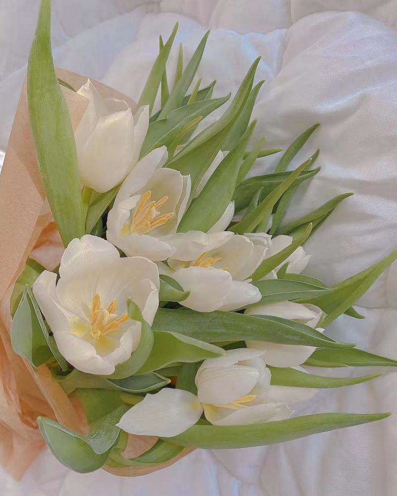 历史上的11月17日，结婚后的爱情变迁与时光流转