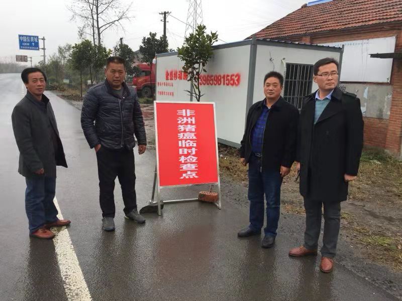 历年11月17日澳洲防疫动态深度解读，最新进展与策略分析