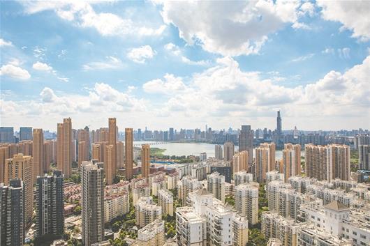 昔日苗圃今日高楼，宁津最新楼盘回顾与展望——11月17日的蜕变与趋势