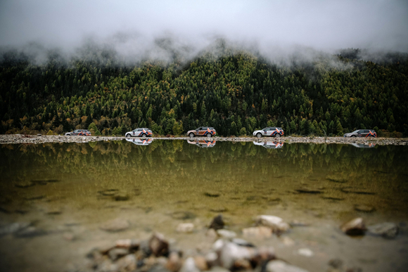 最新市价下的自然之旅，寻找内心平静的探险启程