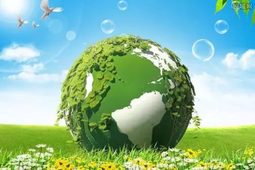 天津环保督察探秘，小巷绿色故事与独特小店之旅（2024年11月17日最新消息）