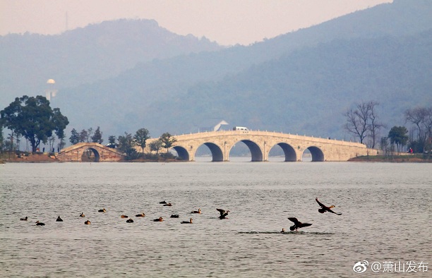 11月17日萧山区最新招聘信息及招聘动态，机遇与挑战一览