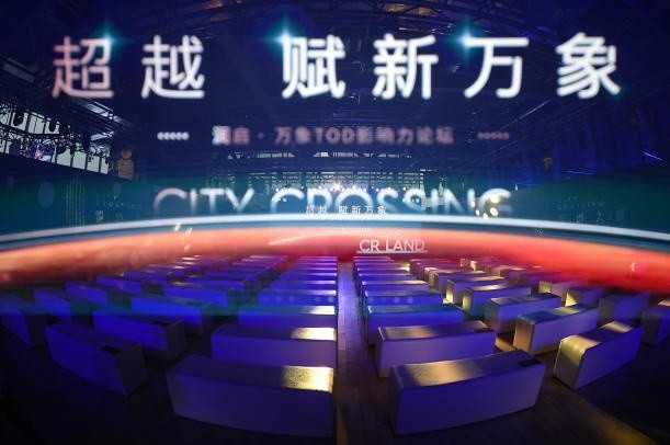 网拍新纪元，超越未来，学习变化中的自信与成就感（2024年11月17日最新资讯）