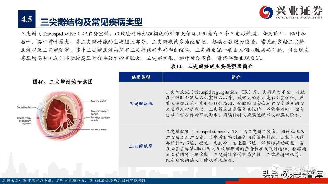 2024年逮捕法变革指南,步骤、适应与执行