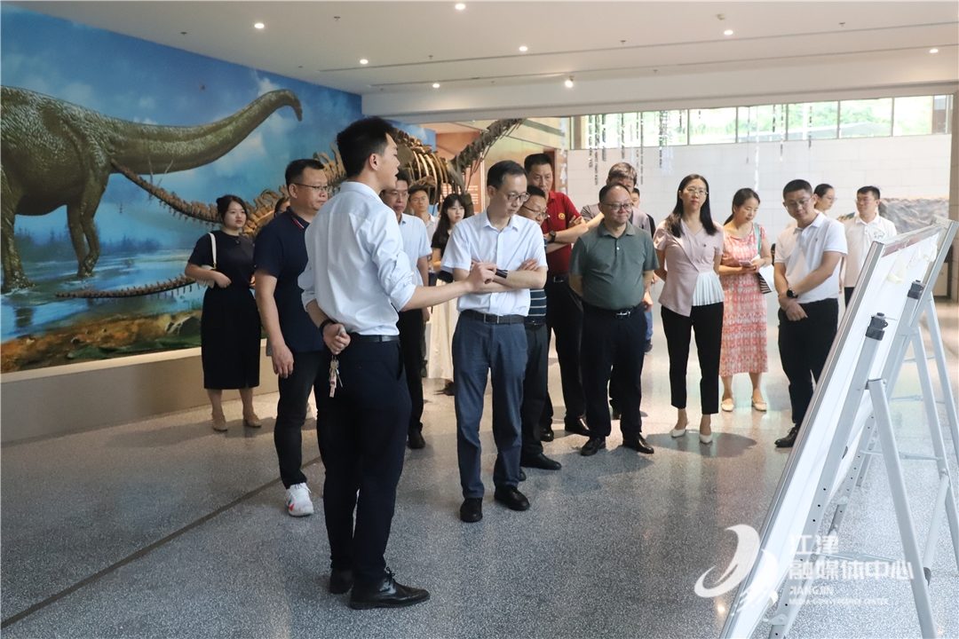 江津四屏镇发展动态深度解析，我的观点与洞察——往年11月17日最新动态观察报告