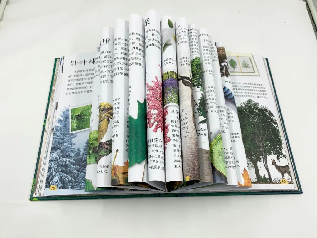 最新纸袋图探索自然美景之旅，十一月纸袋图引领宁静之旅