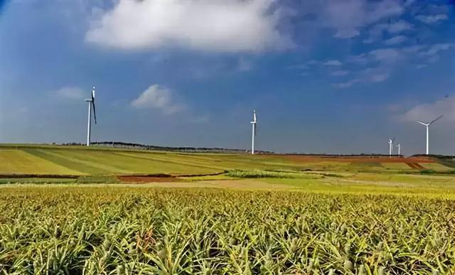 徐闻海安房价揭秘，自然美景与心灵旅行的双重奇迹探访报告