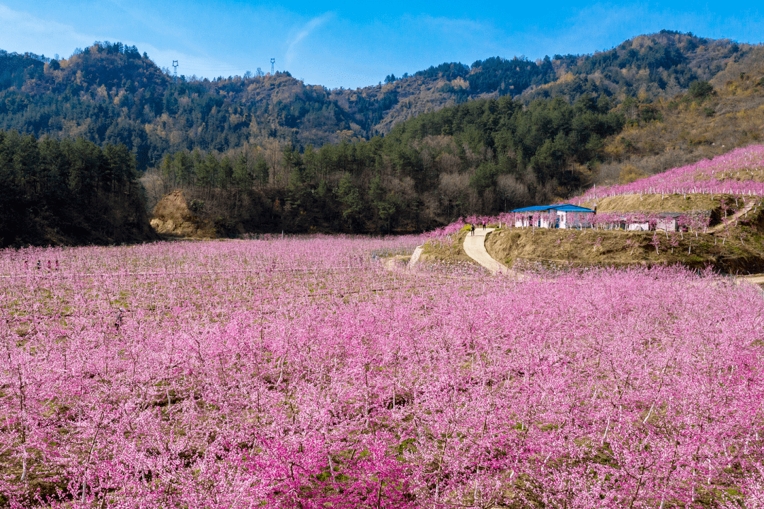 临淄商铺最新动态，启程探寻自然美景与心灵宁静之旅