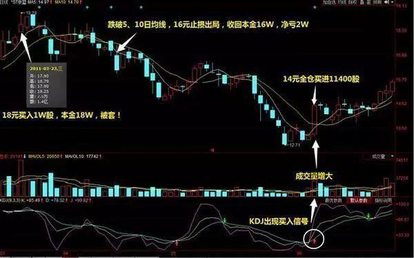 揭秘橡胶市场风云再起，十一月最新橡胶价格走势背后的故事