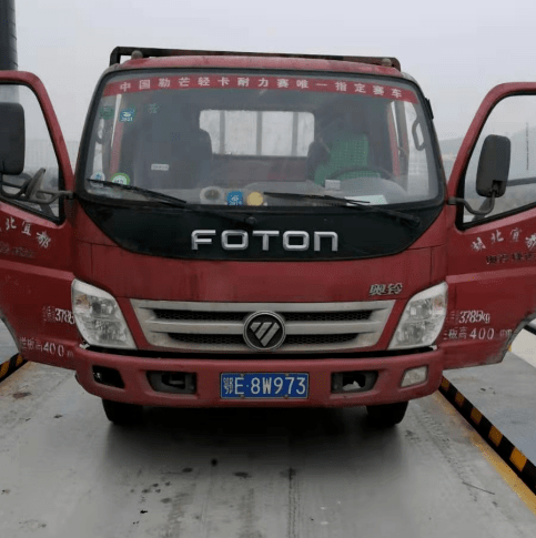 11月冬虫夏草最新资讯与行业解析，掌握行业动态，关注指南