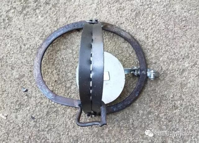 2024年11月 第24页