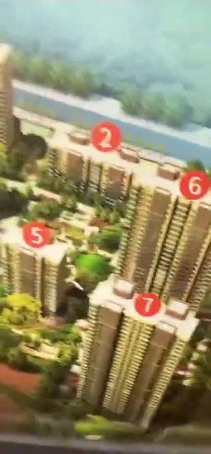 2024年11月30日 第7页