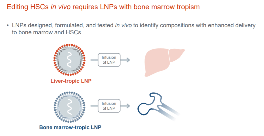 十一月T细胞研究揭秘,科学前沿的三大要点解析与最新进展