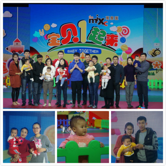 11月公海彩船盛宴，最新动态与精彩瞬间全览