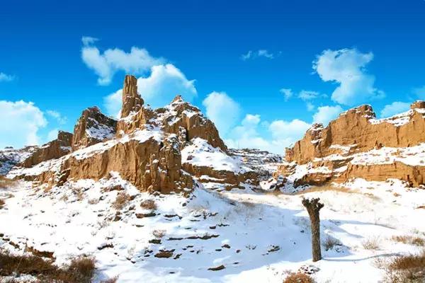 2024年12月 第438页