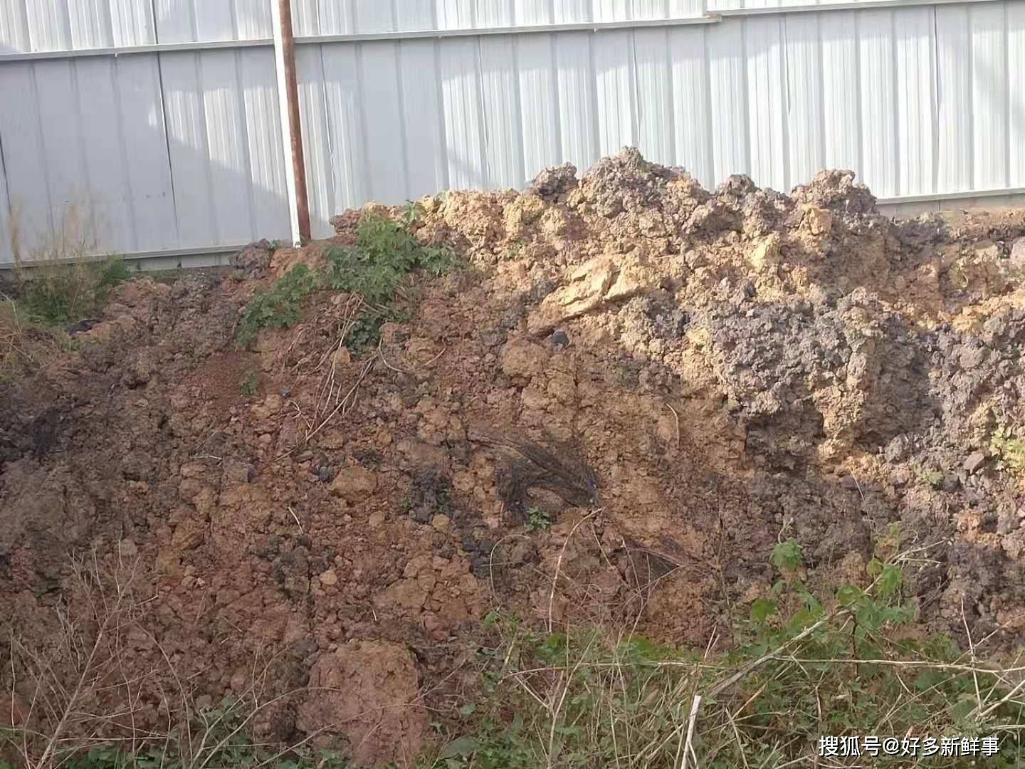 2024年12月 第435页