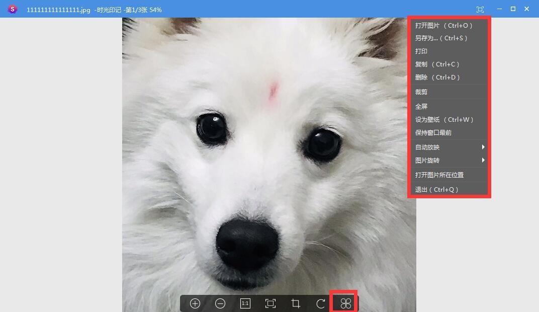 三只松鼠十一月十七日的时光印记与生态启示，最新动态回顾与启示
