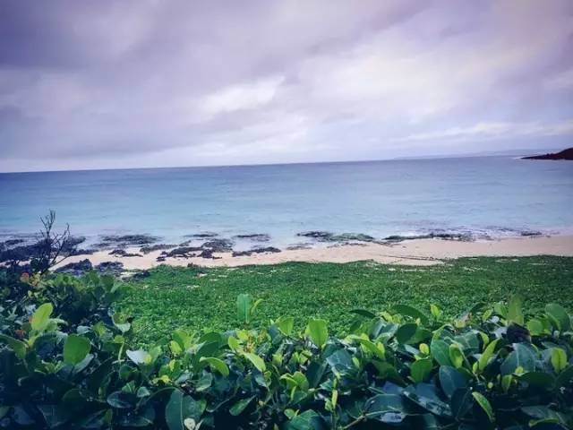 探索自然美景与心灵宁静，在线观看最新电视剧的旅程