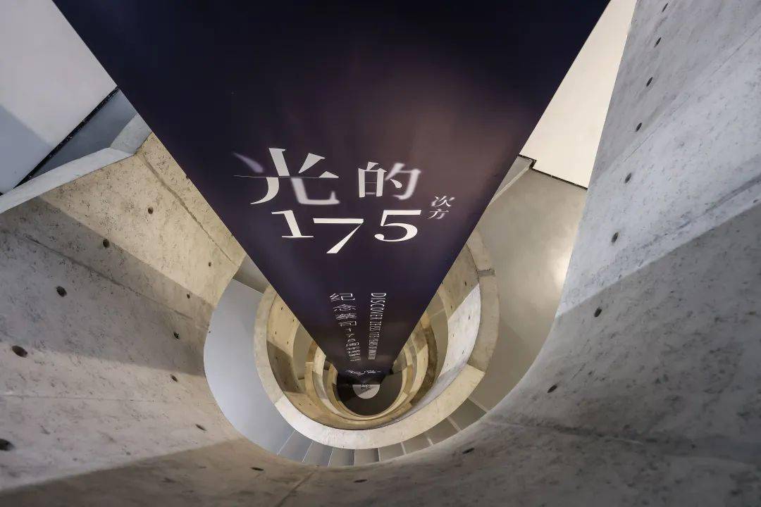 ST庞大最新动态深度解析，回顾与展望的未来展望（11月17日）