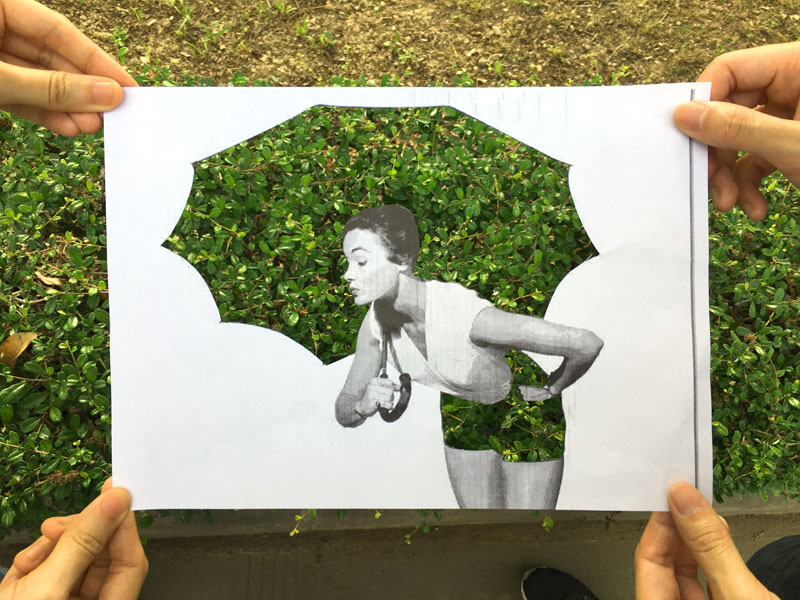 追风逐绿，探索蝗虫动态的自然之旅