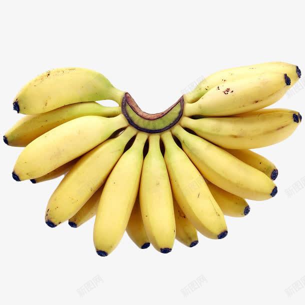 揭秘11月西双版纳香蕉新鲜行情，价格大揭秘！