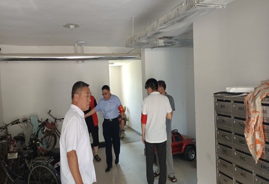 济宁五道街最新动态揭秘，十一月新情况与观点阐述