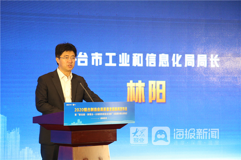 深度解析与观点阐述，林阳与苏颜最新章节2024年11月17日