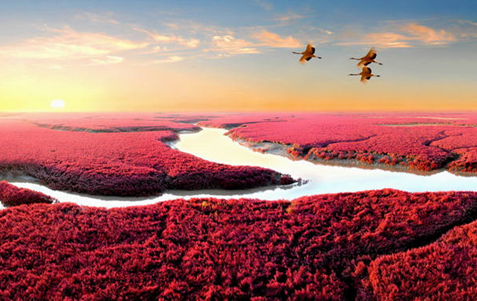 十一月十七日小书亭奇妙之旅,下载最新版,共赴自然美景