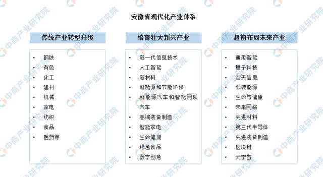 大合肥最新规划展望，2024年蓝图与争议