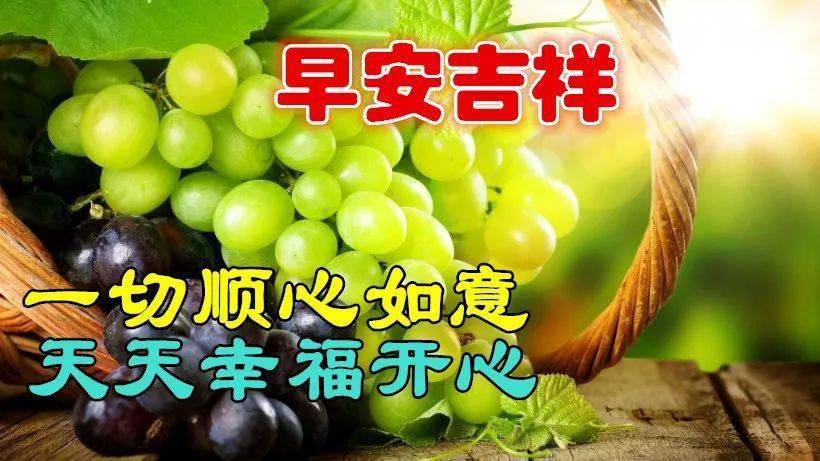 11月17日动态图片，温馨故事与聊天新风尚