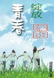 十一月暖阳下的经济复苏奇遇，友情、家庭与重逢的喜悦