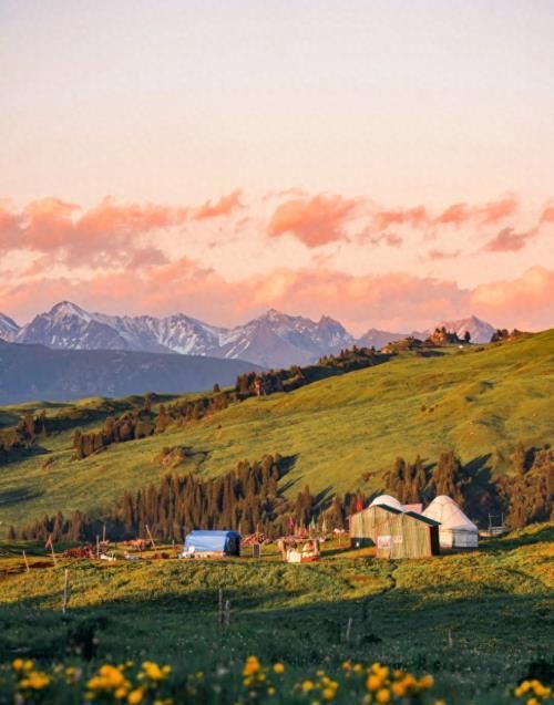 花开无言 第11页