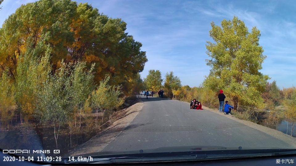 咸阳新发现自然美景,治愈之旅启程,探寻内心的宁静与平和