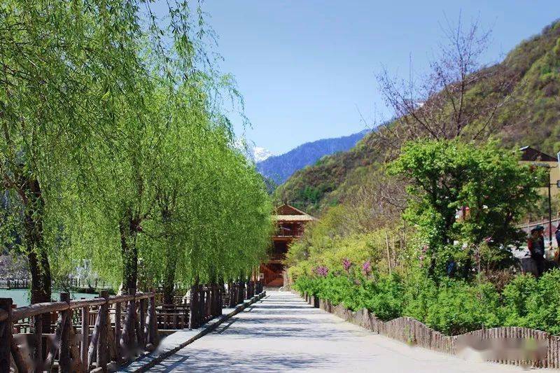 咸阳新发现自然美景,治愈之旅启程,探寻内心的宁静与平和