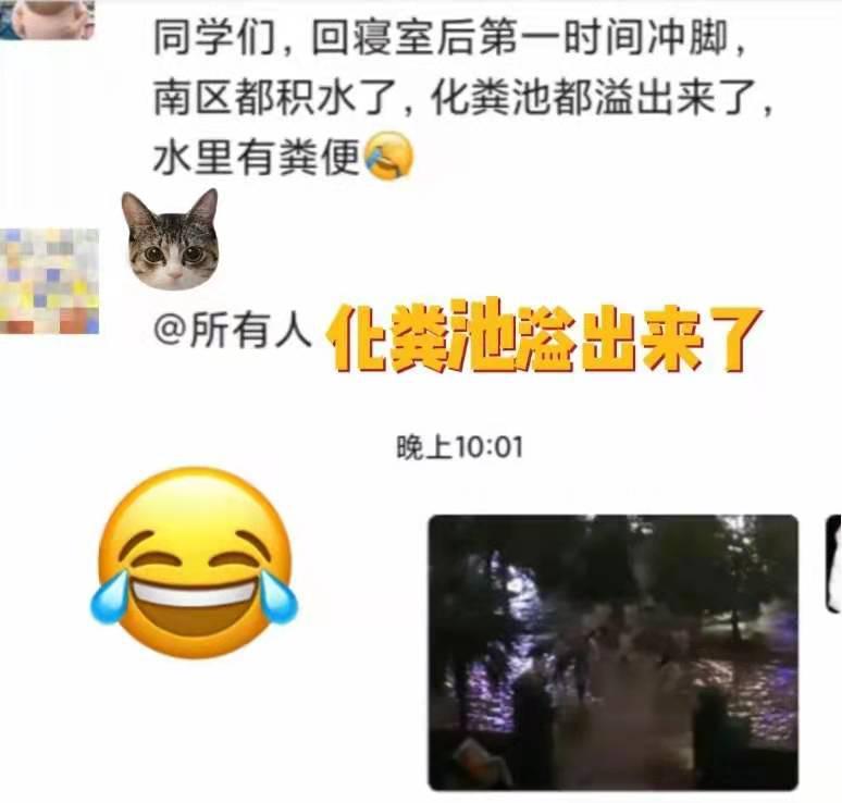 江南烟雨断桥殇 第11页