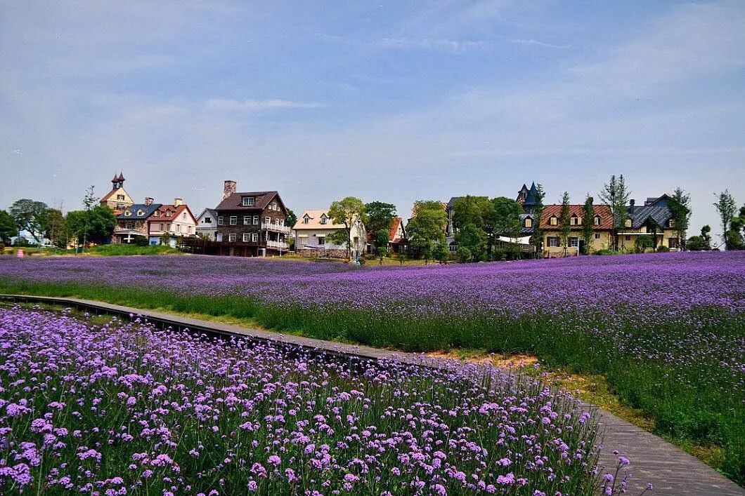 十一月十七日武汉新楼盘开盘，与自然美景共舞的日子，最新开盘价格一览