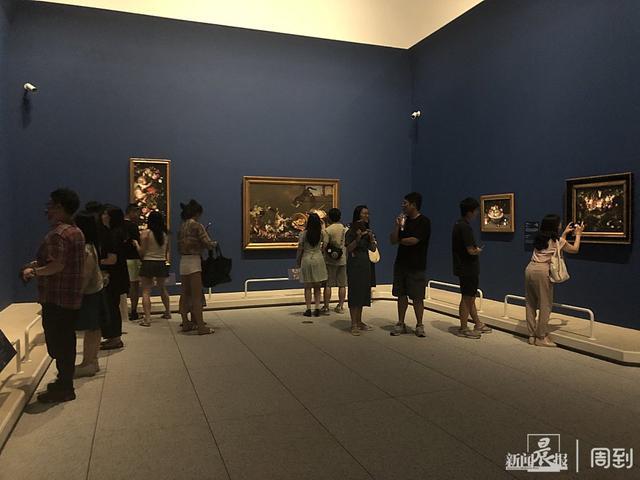 浙江美术馆最新展览深度解析与艺术观察，2024年11月17日深度探索