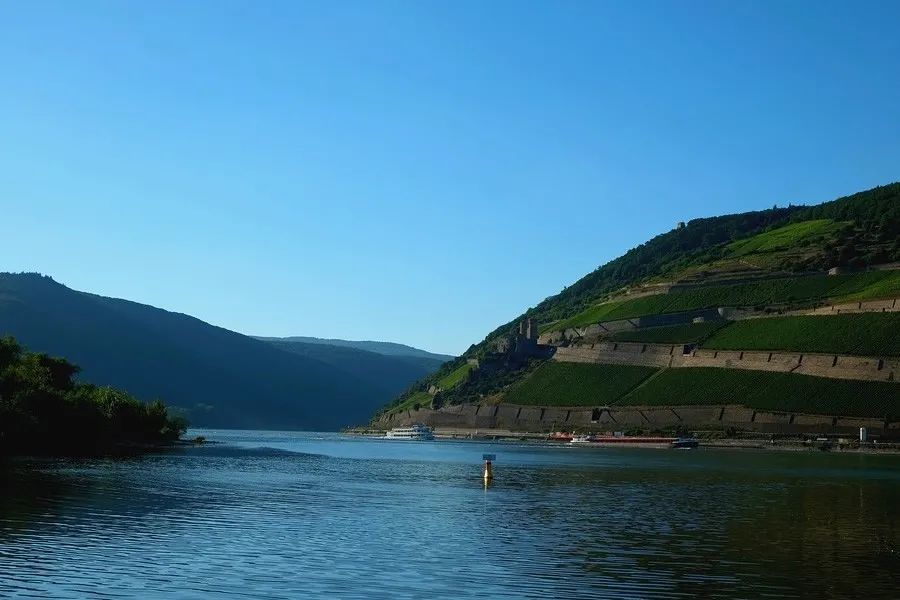 长沙汽车南站最新动态，多维视角解读11月17日最新消息