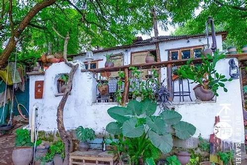 揭秘花开胜锦最新章节背后的神秘小巷特色小店，花开胜锦最新章节一览