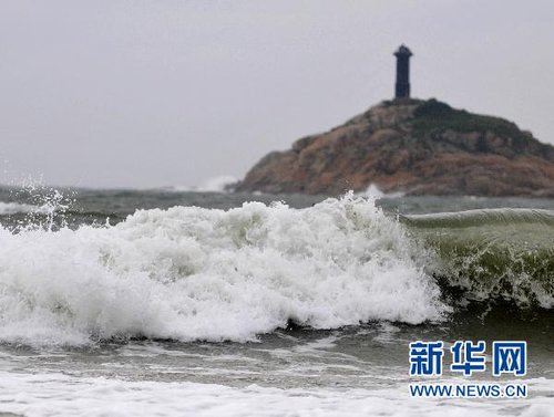 温州台风后的自然探索之旅，台风网记录下的宁静美景与启示