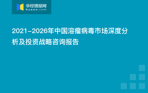 历年病毒深度解析，往年11月17日病毒变种与最新版病毒评测报告揭秘
