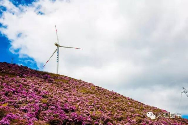 禁播影片背后的美景，自然之旅的启示与呼唤