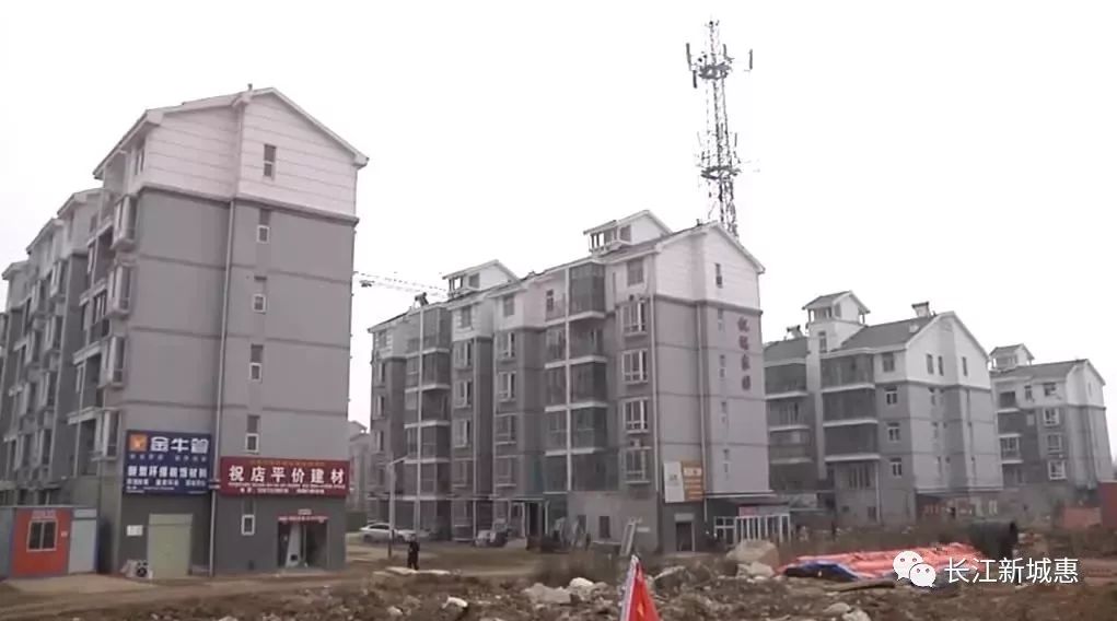 木兰大道最新动态深度评测与解读，11月度尾的全面报告