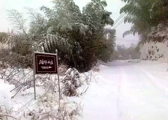 萧山义桥工厂招工日，探寻工作与自然美景的双重体验，寻找内心的宁静与平和之旅