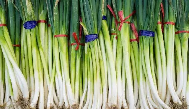 探寻十一月大葱最新价格，葱香四溢背后的故事